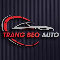 Avatar cửa hàng TRANG BÉO AUTO 