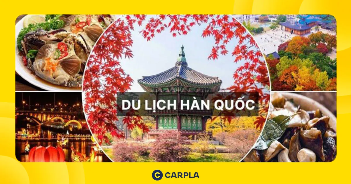 Cẩm Nang Du Lịch Hàn Quốc: Ăn Gì, Chơi Gì, Ở Đâu?