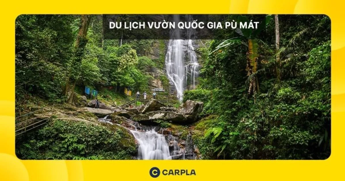 Du Lịch Vườn Quốc Gia Pù Mát – “Chốn Tiên Cảnh” Tại Mảnh Đất Miền Trung