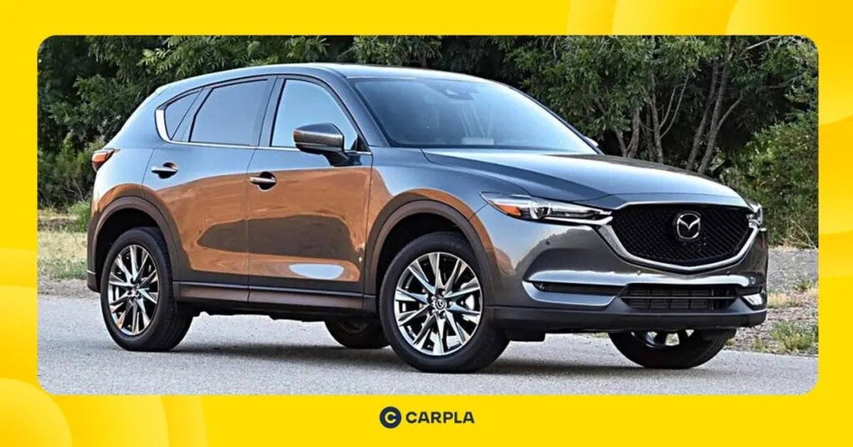 Top 3 đơn vị cung cấp dịch vụ thuê xe tự lái Quận 6 tiện lợi và dễ dàng