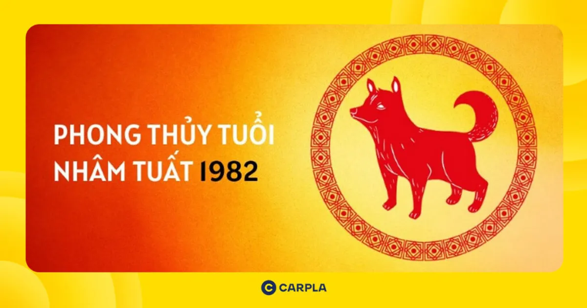 Vận hạn và may mắn tử vi tuổi Nhâm Tuất 1982 trong năm Ất Tỵ [year]