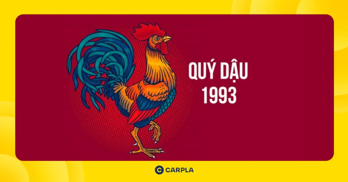 Vận hạn và may mắn tử vi tuổi Quý Dậu 1993 trong năm Ất Tỵ [year]