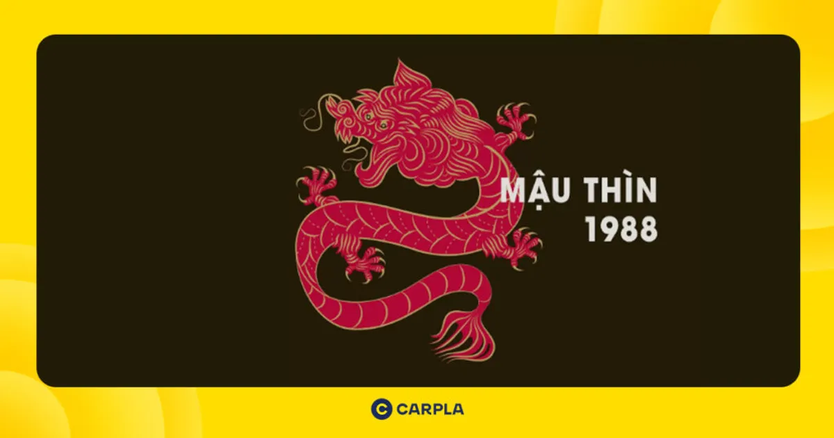 Vận hạn và may mắn tử vi tuổi Mậu Thìn 1988 trong năm Ất Tỵ [year]