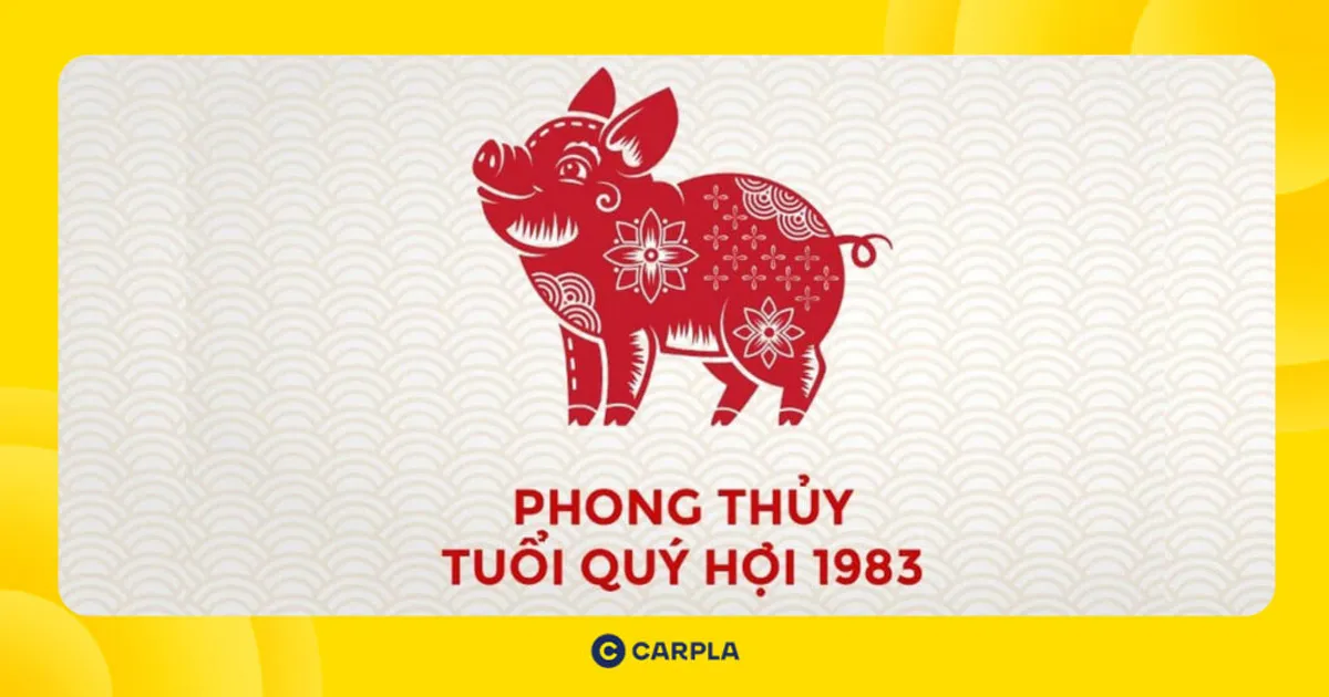 Vận hạn và may mắn tử vi tuổi Quý Hợi 1983 trong năm Ất Tỵ [year]