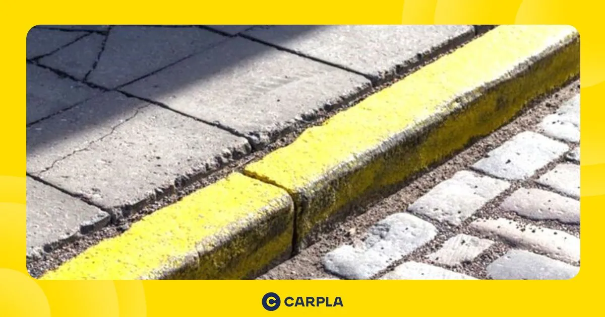 Cách nhận biết vạch kẻ đường cấm đỗ xe đúng luật