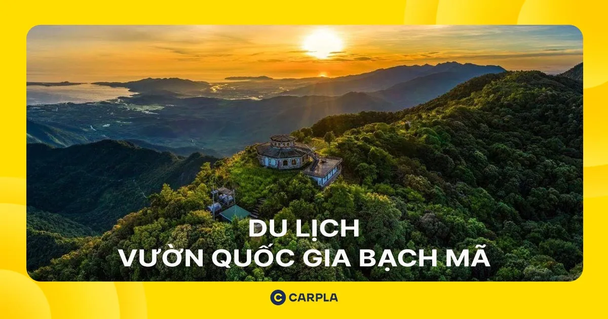 Du lịch vườn Quốc gia Bạch Mã: Trải nghiệm Trekking giữa đại ngàn cùng phụ kiện từ Carpla