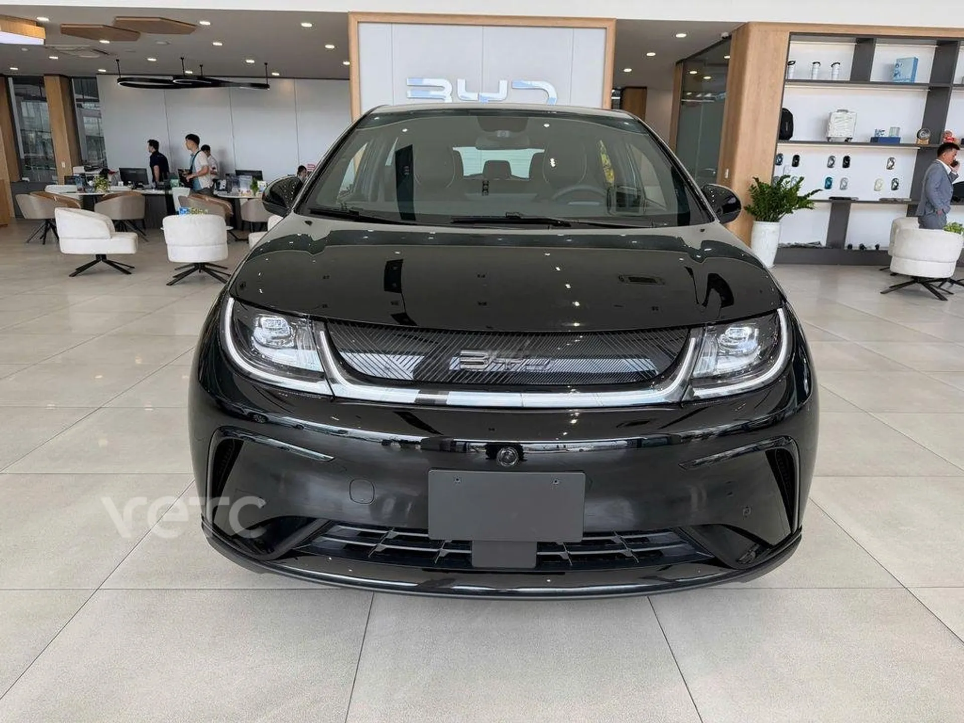 Hình ảnh xe BYD Dolphin 2026 Đen