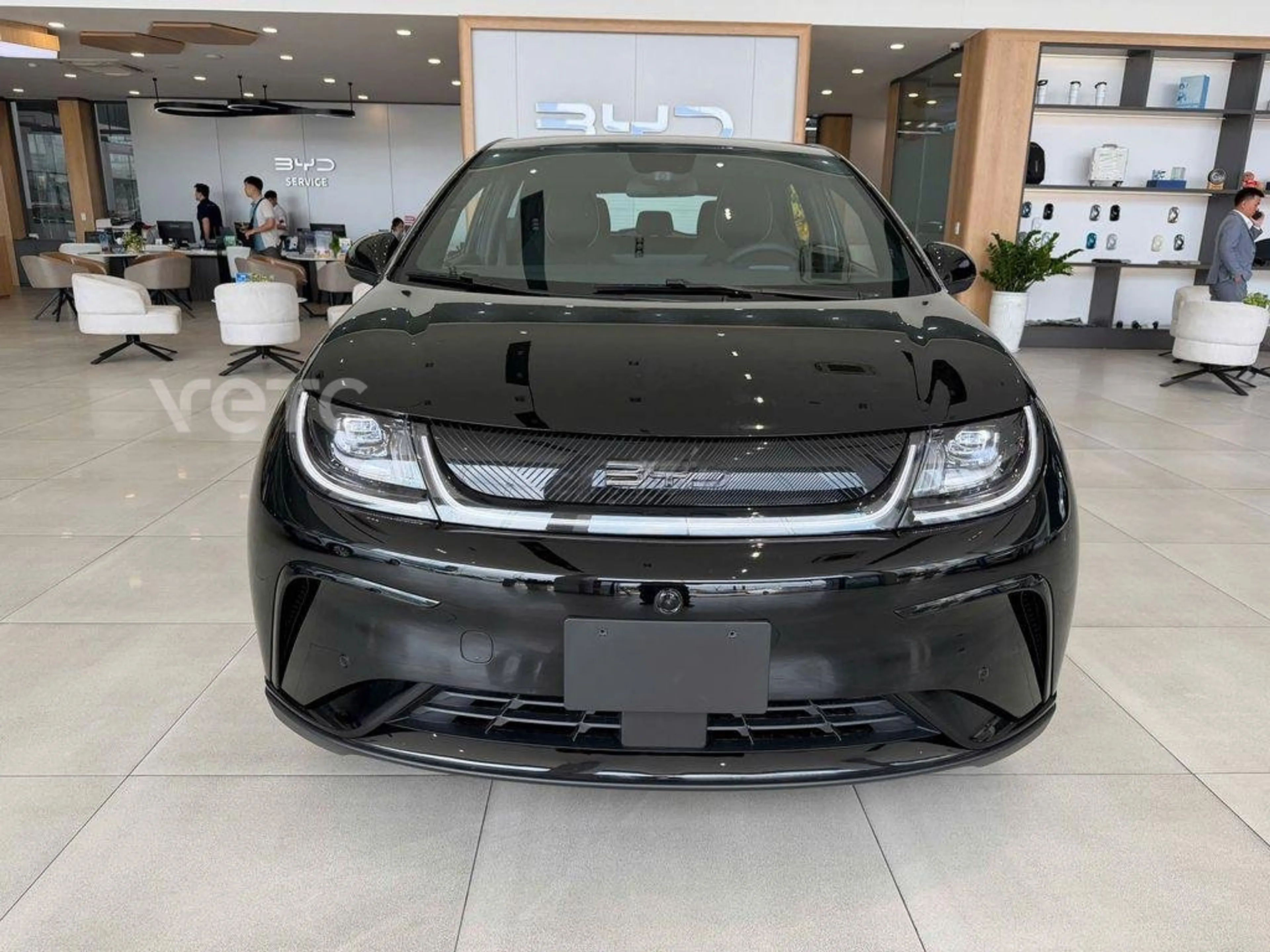 Ảnh xe BYD Dolphin 2026 Đen